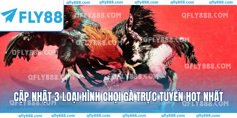 Cập nhật 3 loại hình chọi gà trực tuyến hot nhất