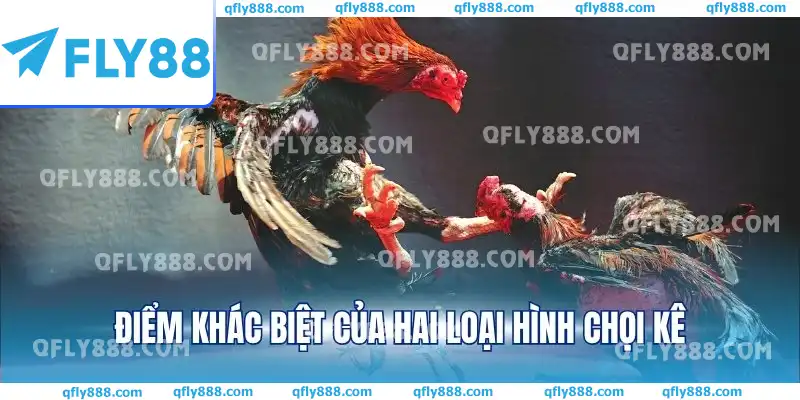 Điểm khác biệt của hai loại hình chọi kê