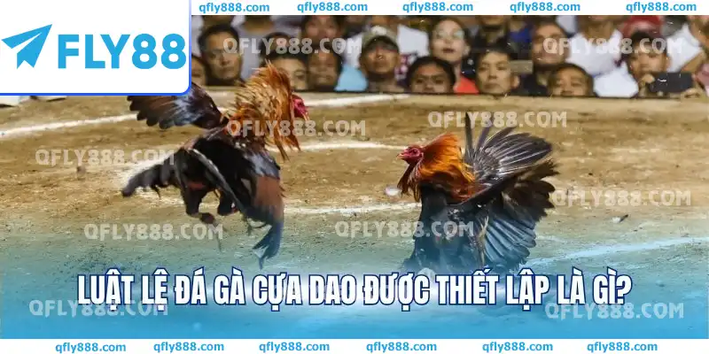 Luật lệ đá gà cựa dao được thiết lập là gì?